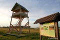 Putnu un ainavas vērošanas tornis Vīsraga pļavā